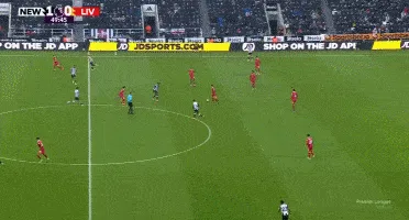 1733367536217804.gif 3.gif