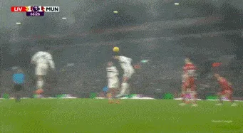 1736104222465390.gif 4.gif