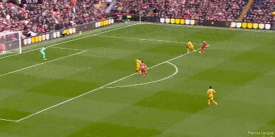 1739723246123189.gif 4.gif